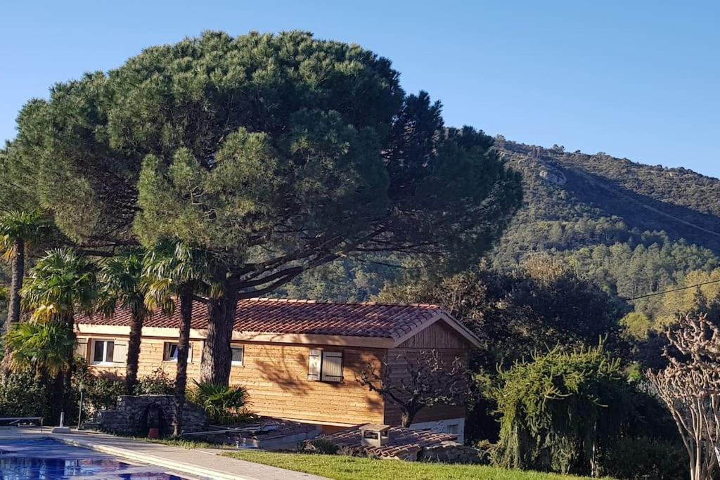 A L'Ombre Du Chene Gites Eden En Cevennes Anduze Eksteriør bilde