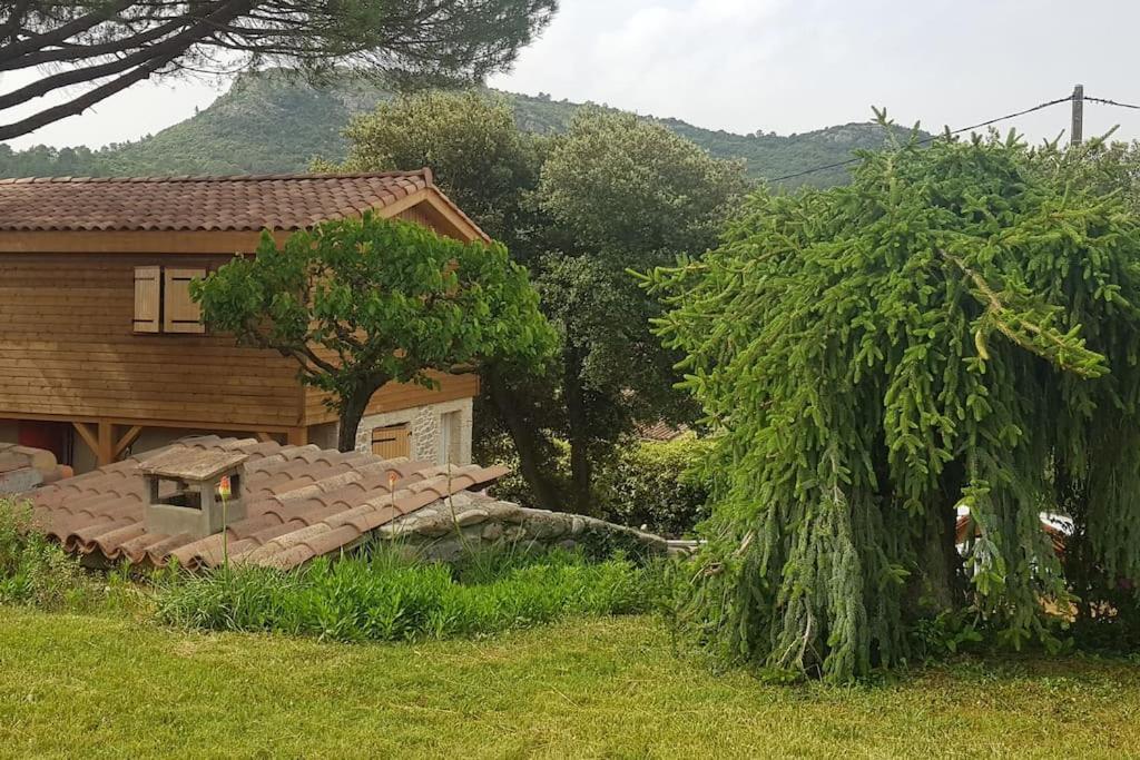 A L'Ombre Du Chene Gites Eden En Cevennes Anduze Eksteriør bilde