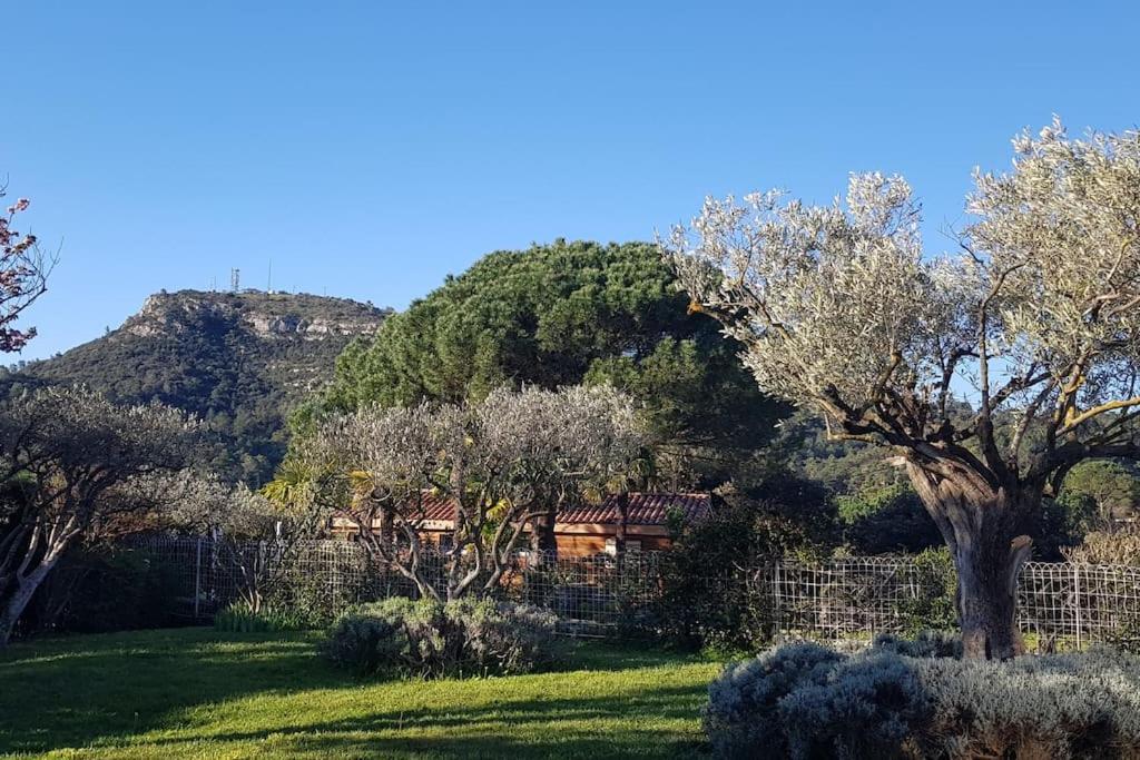 A L'Ombre Du Chene Gites Eden En Cevennes Anduze Eksteriør bilde